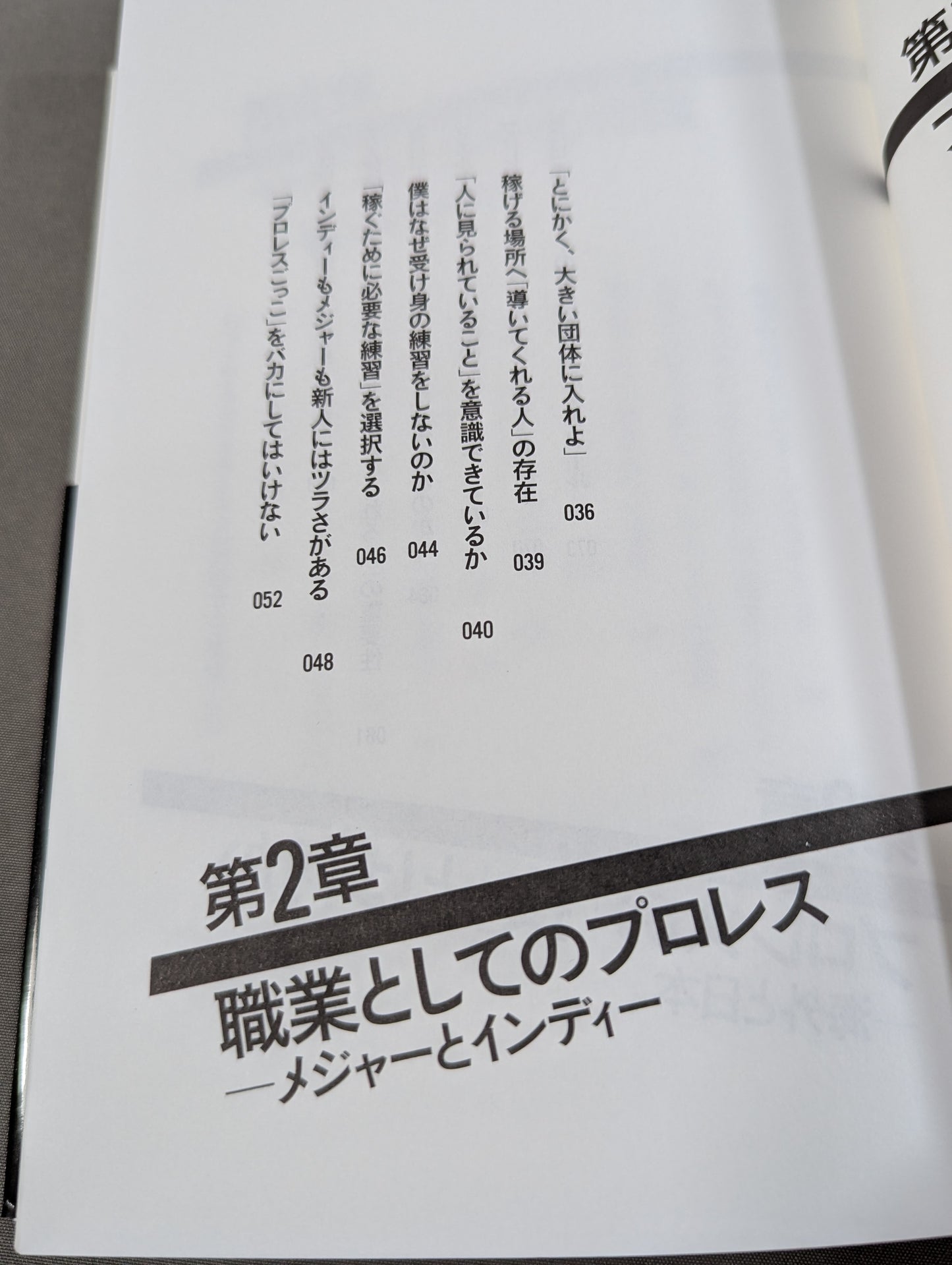 プロレスラーは観客に何を見せているのか