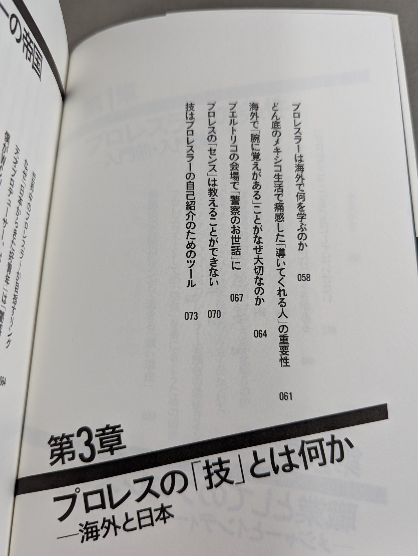 プロレスラーは観客に何を見せているのか