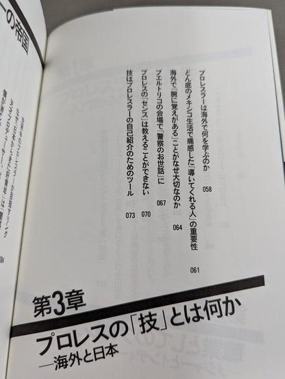 プロレスラーは観客に何を見せているのか