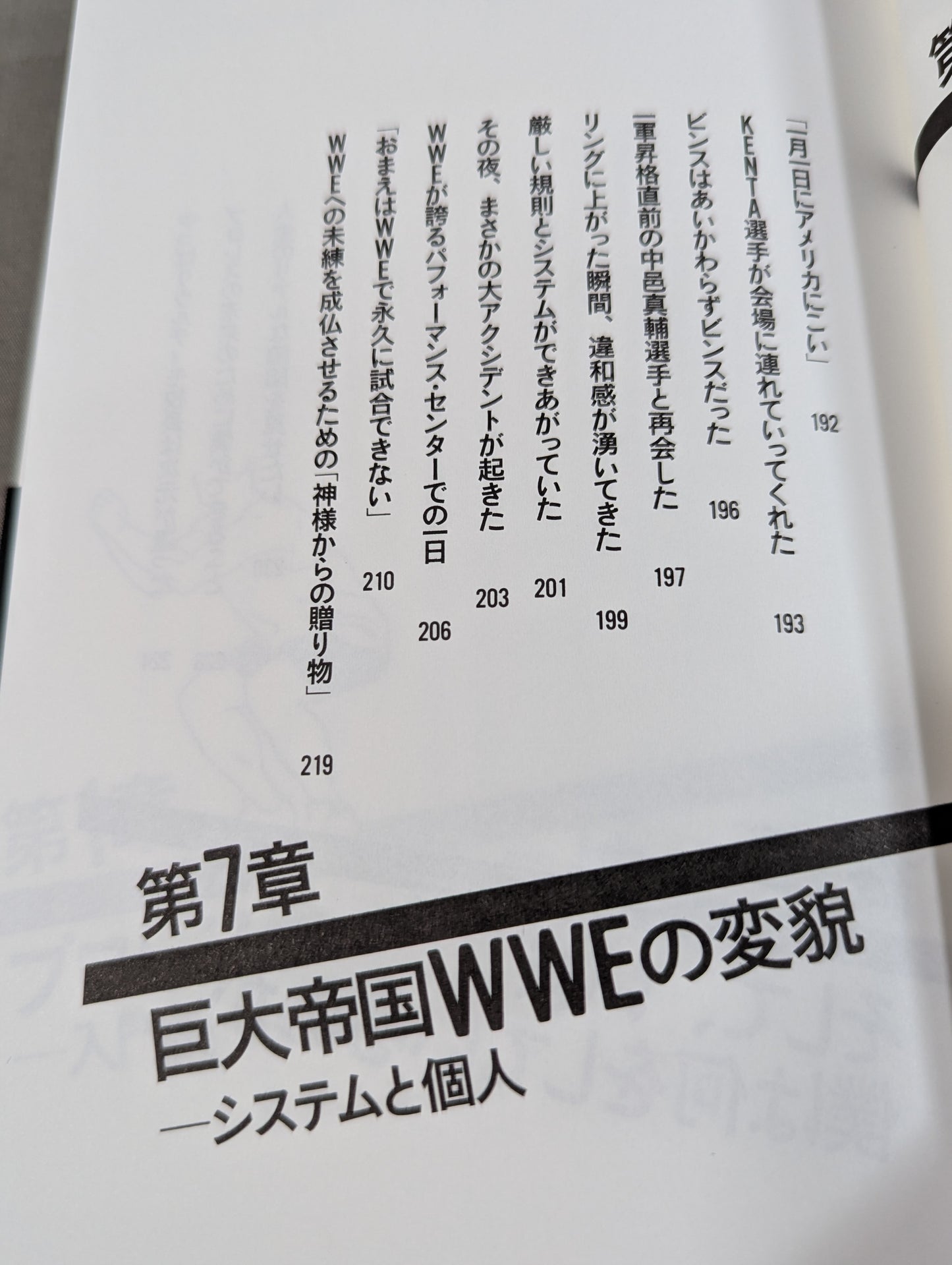 プロレスラーは観客に何を見せているのか