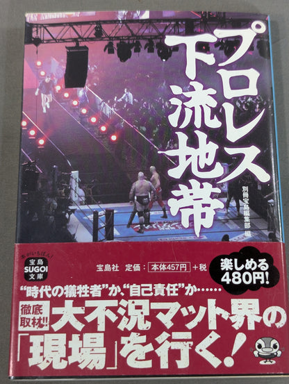プロレス下流地帯