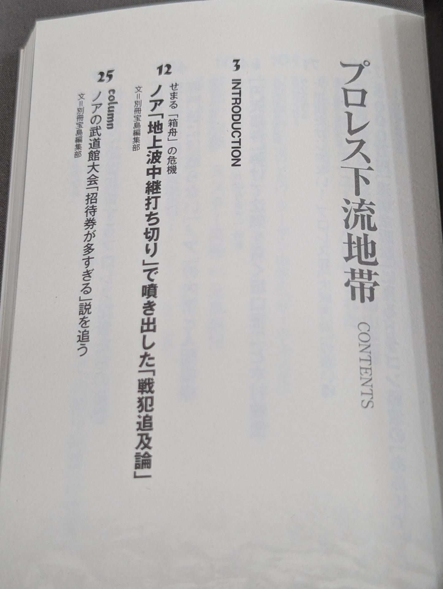 プロレス下流地帯