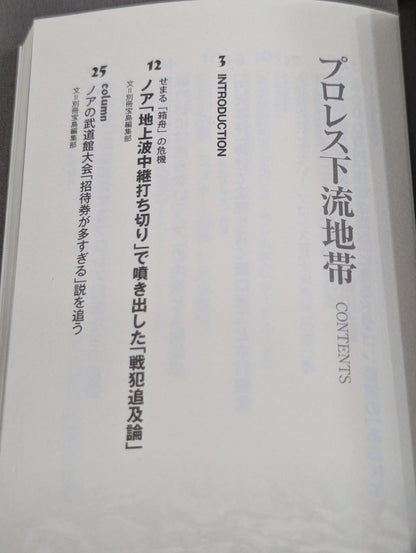 プロレス下流地帯