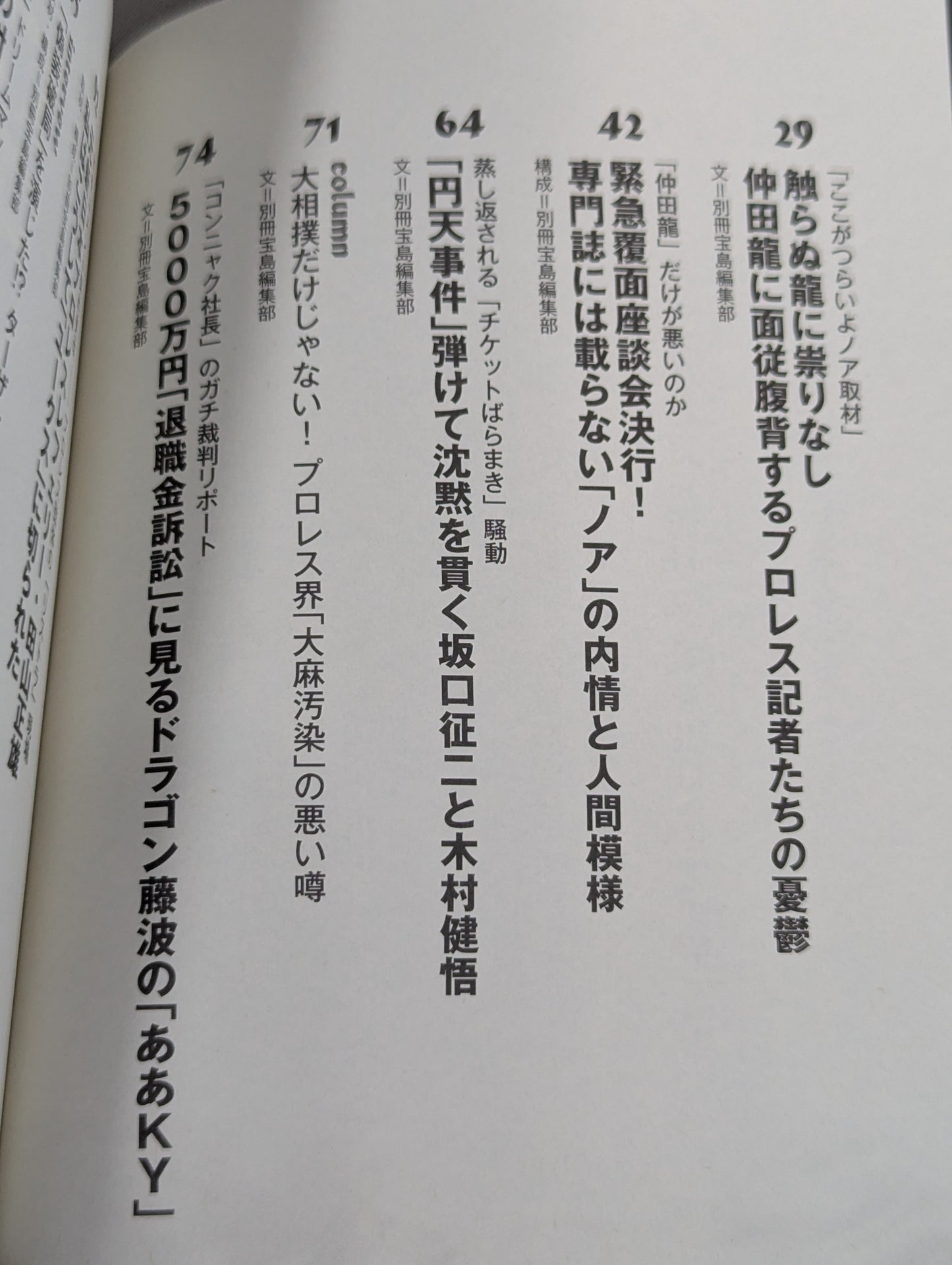 プロレス下流地帯