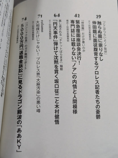 プロレス下流地帯