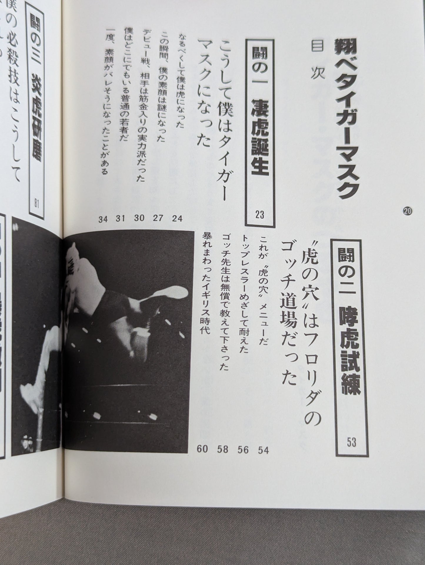 Shobe Tiger Mask