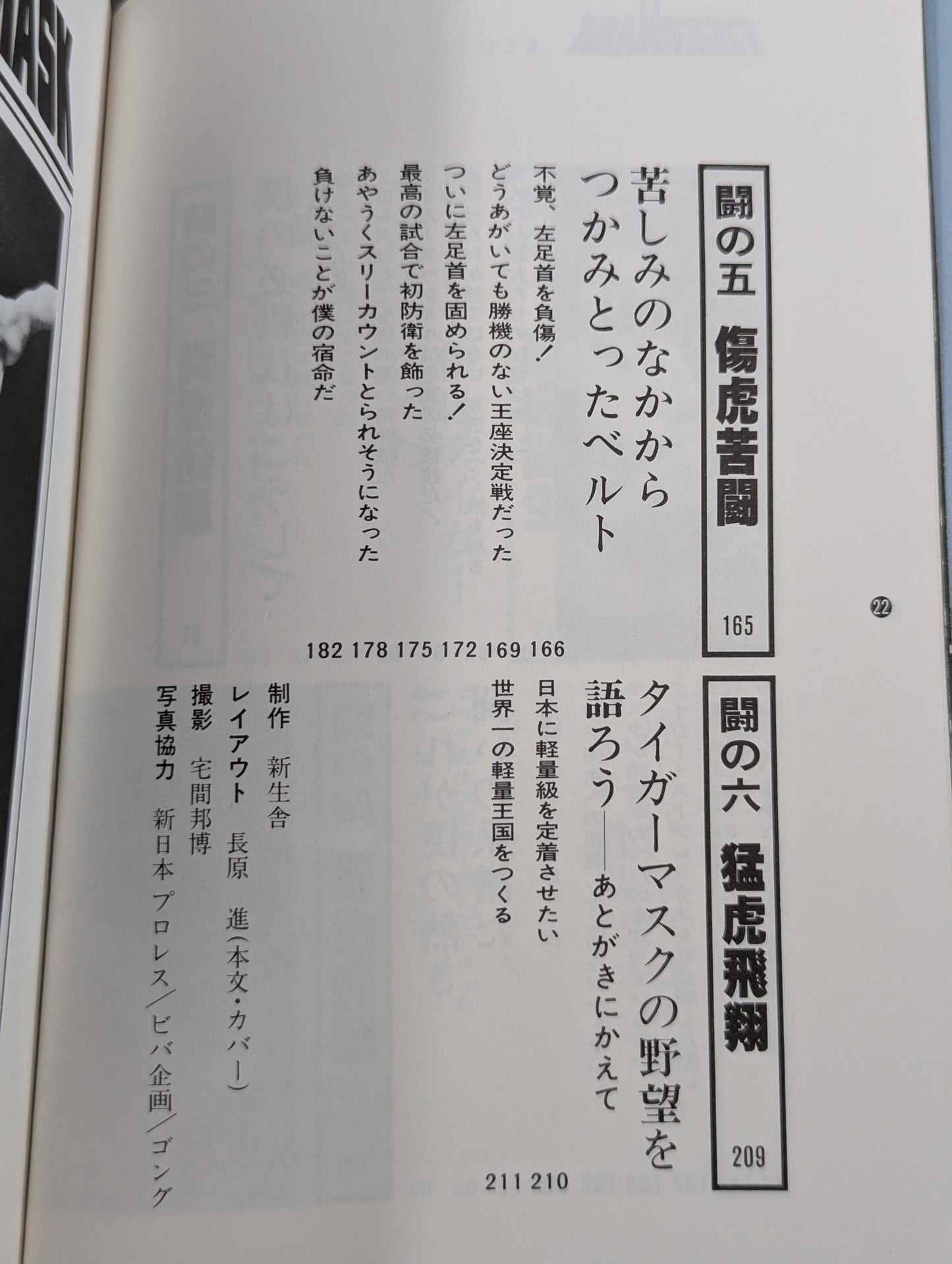 Shobe Tiger Mask