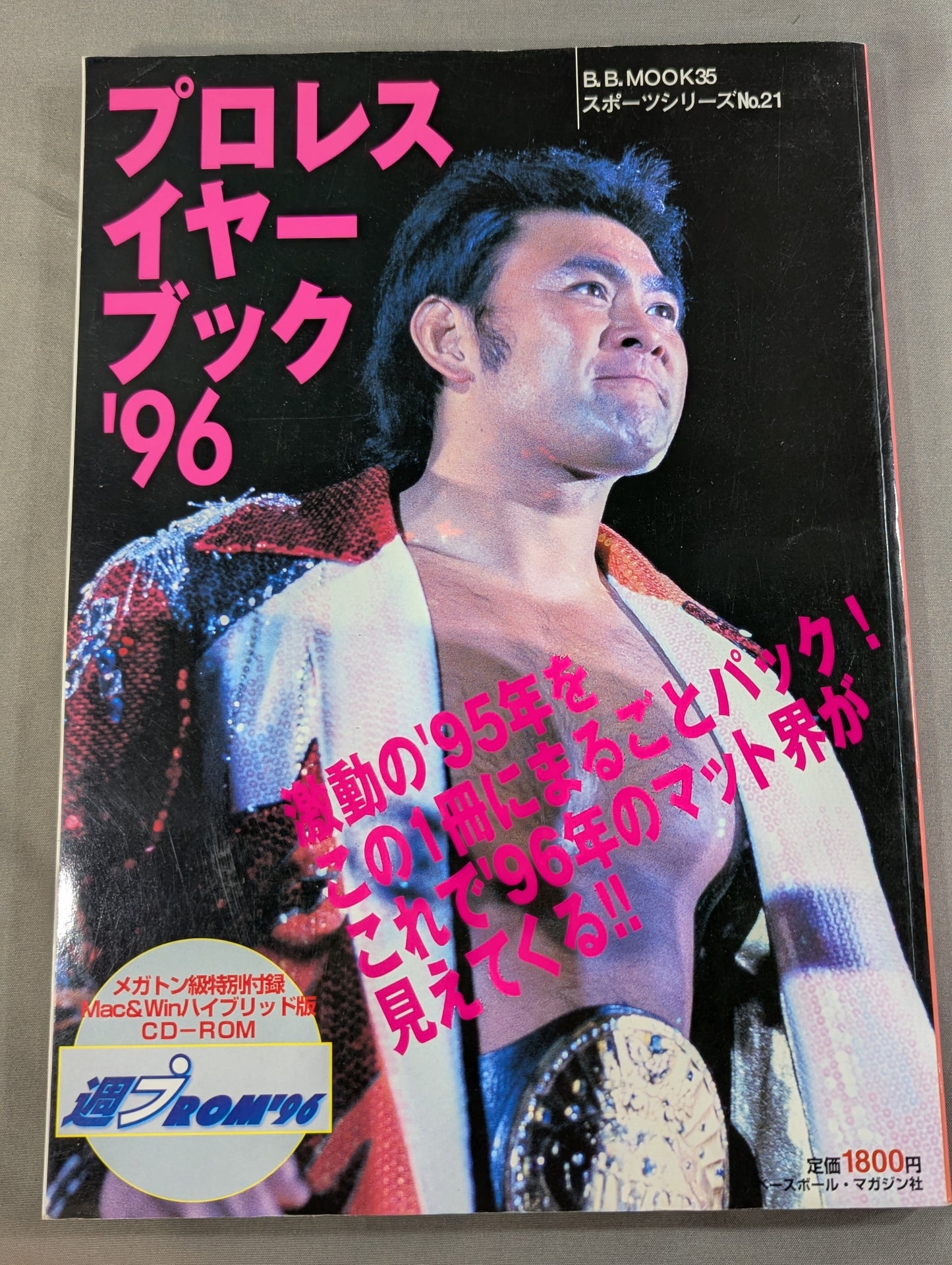 Pro Wrestling Yearbook '96