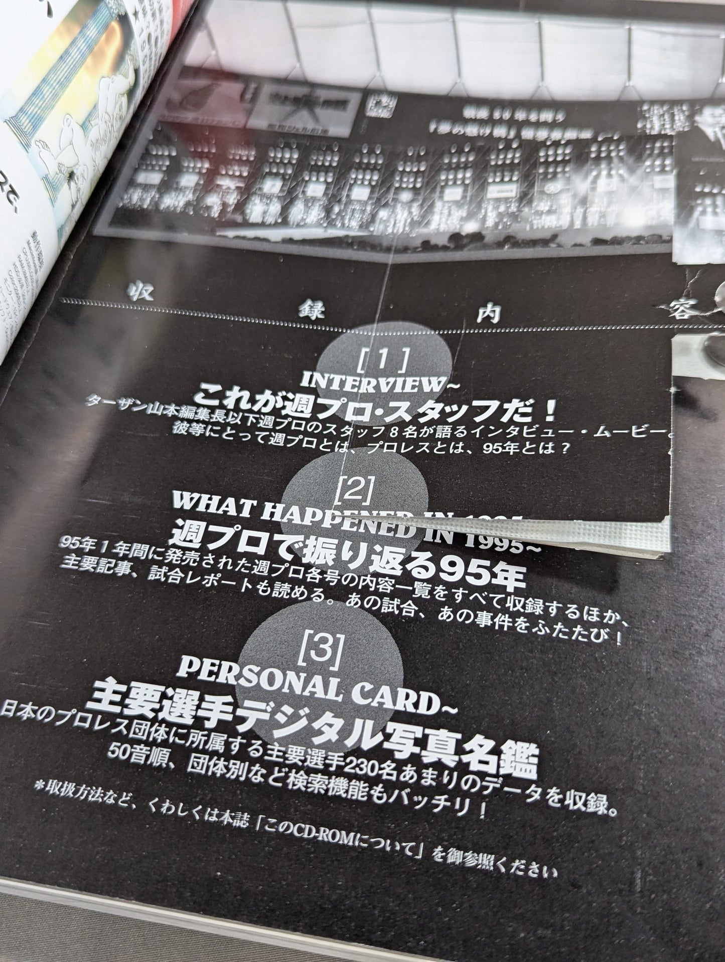 Pro Wrestling Yearbook '96