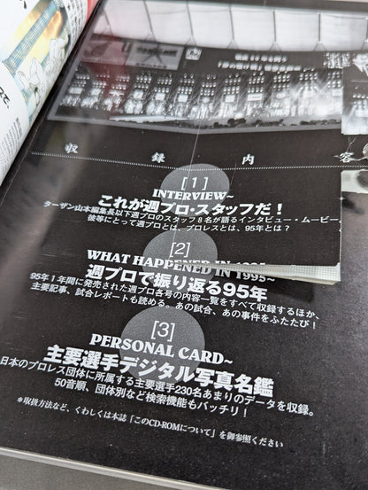 Pro Wrestling Yearbook '96