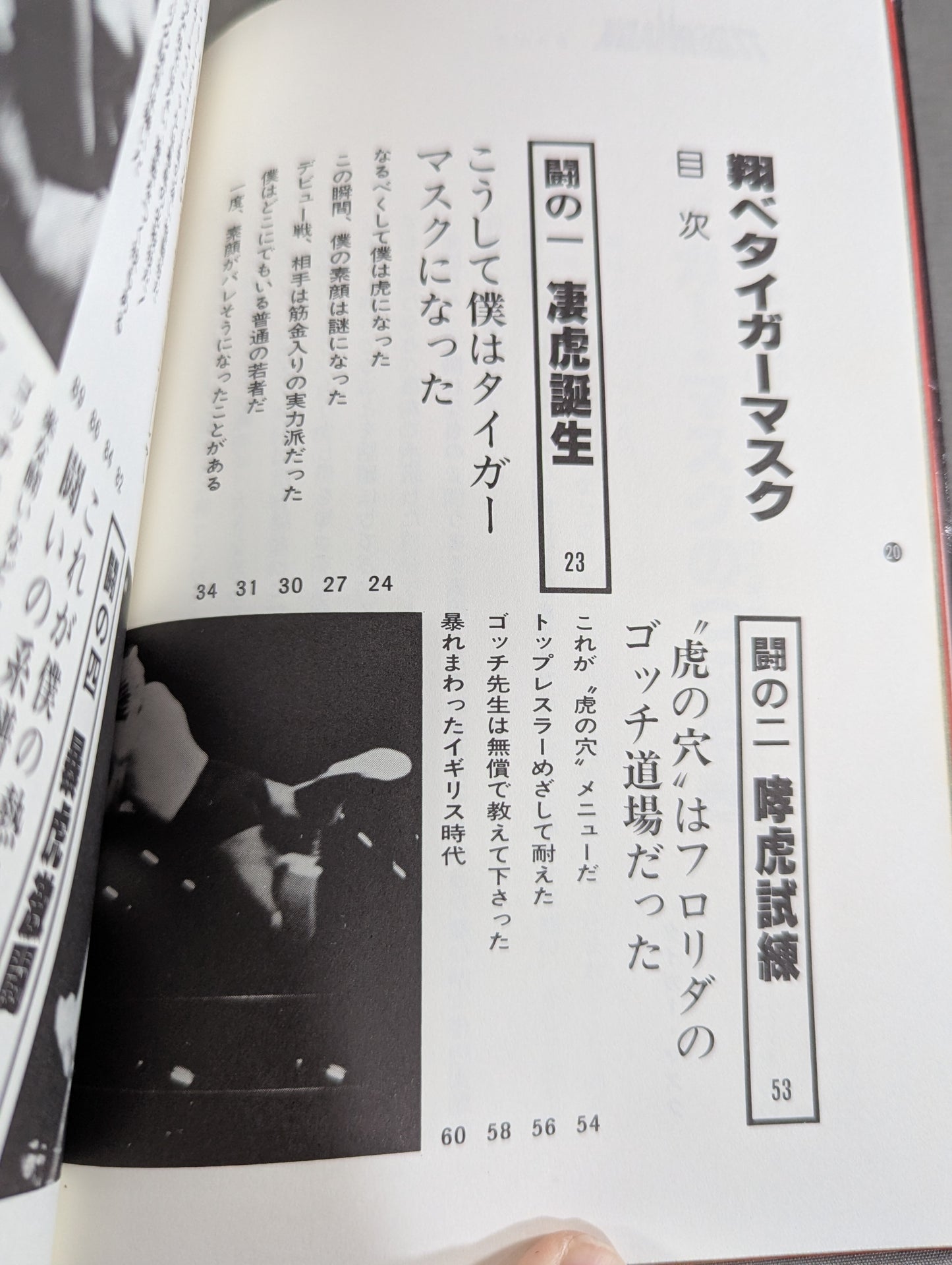 Shobe Tiger Mask
