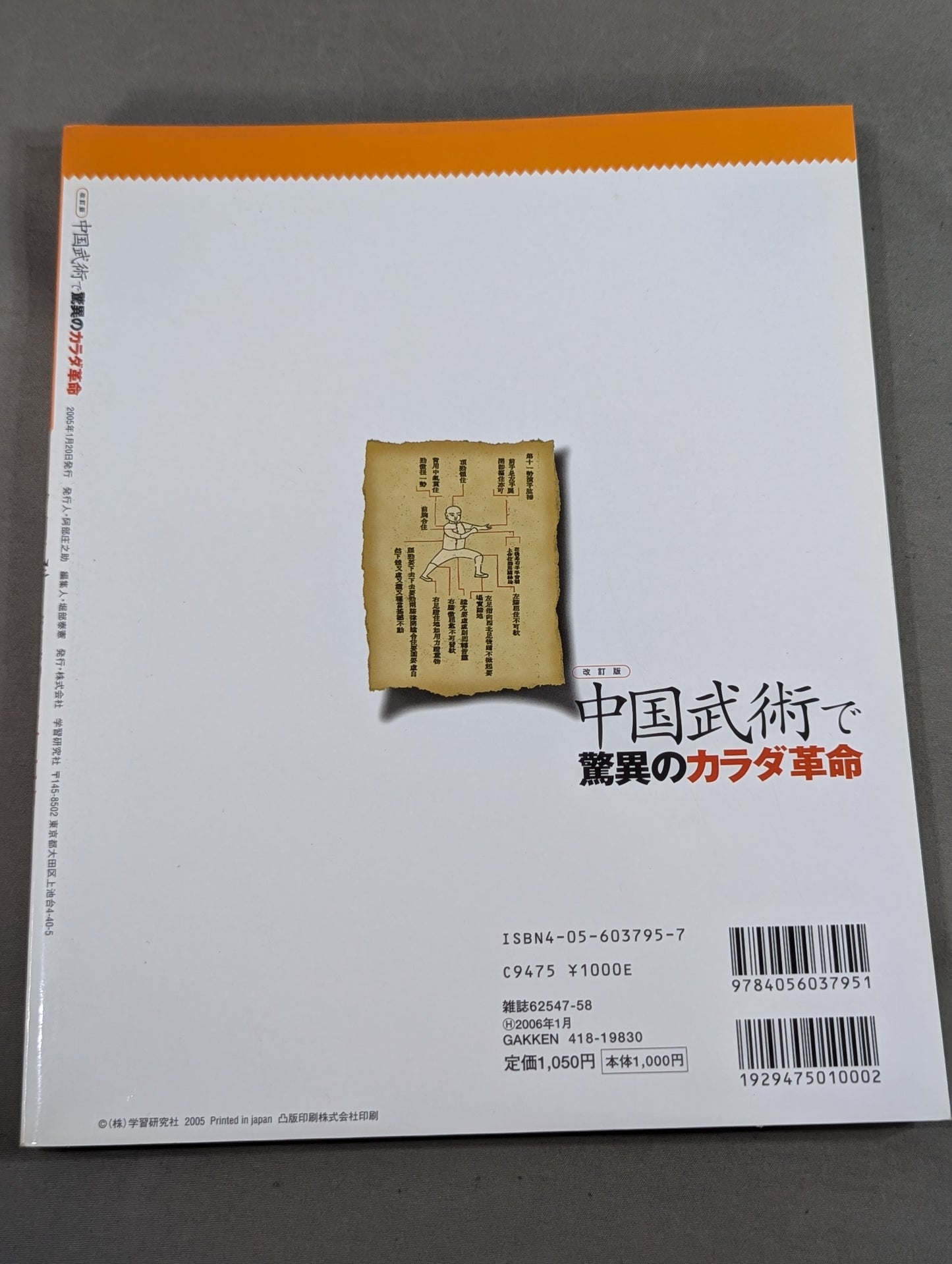 中国武術で驚異のカラダ革命  脳が元気になる!身体が強靭になる!