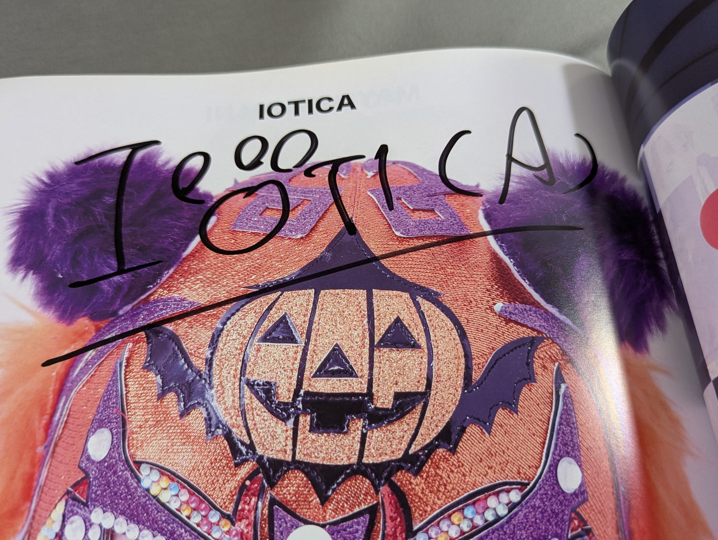[3 fighters  hand signed autograph 】FOTOLIBRE de Mascara Numero.61