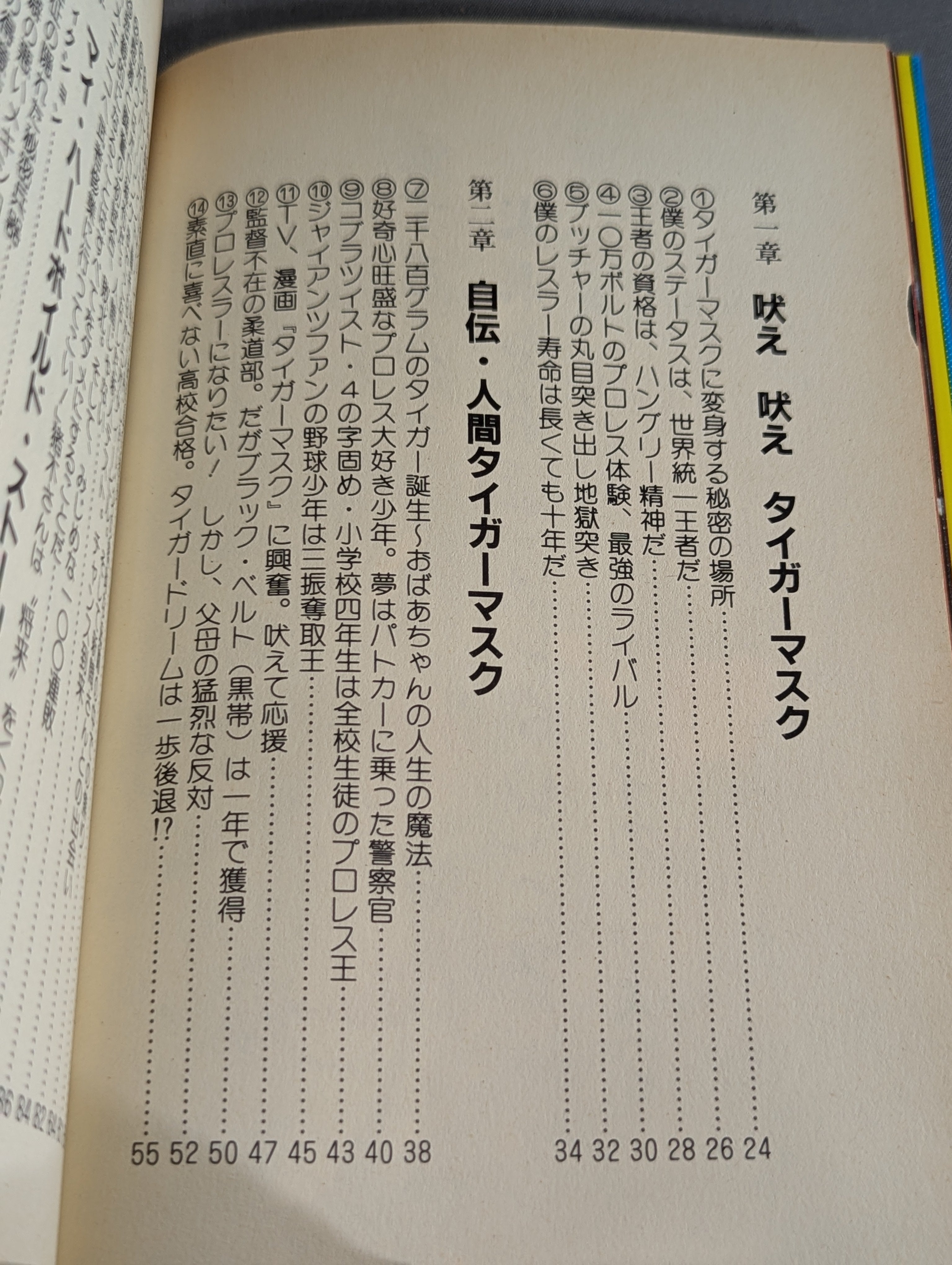 いきなり王者。吠え吠えタイガーマスク – 闘道館