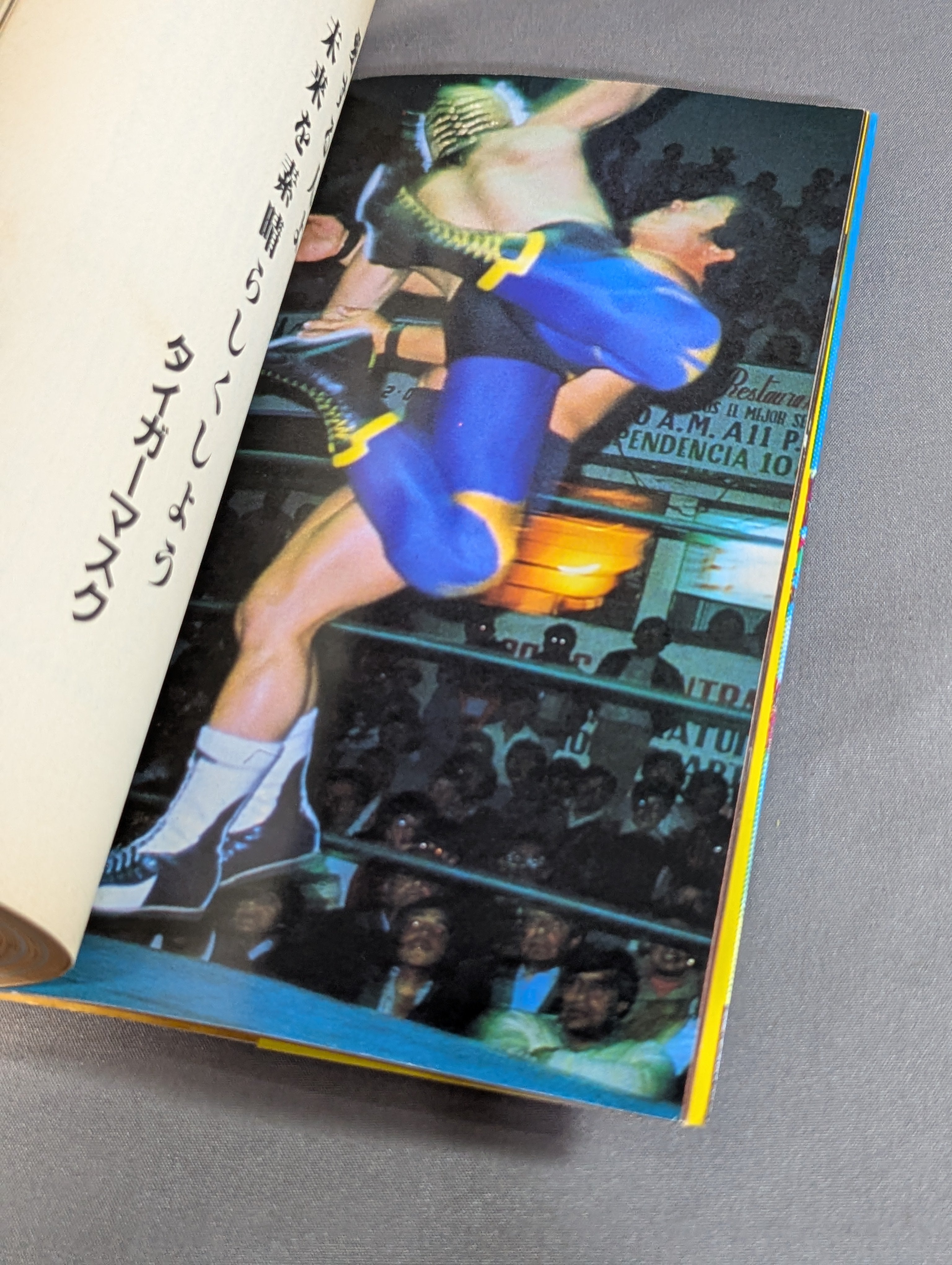 いきなり王者。吠え吠えタイガーマスク – 闘道館