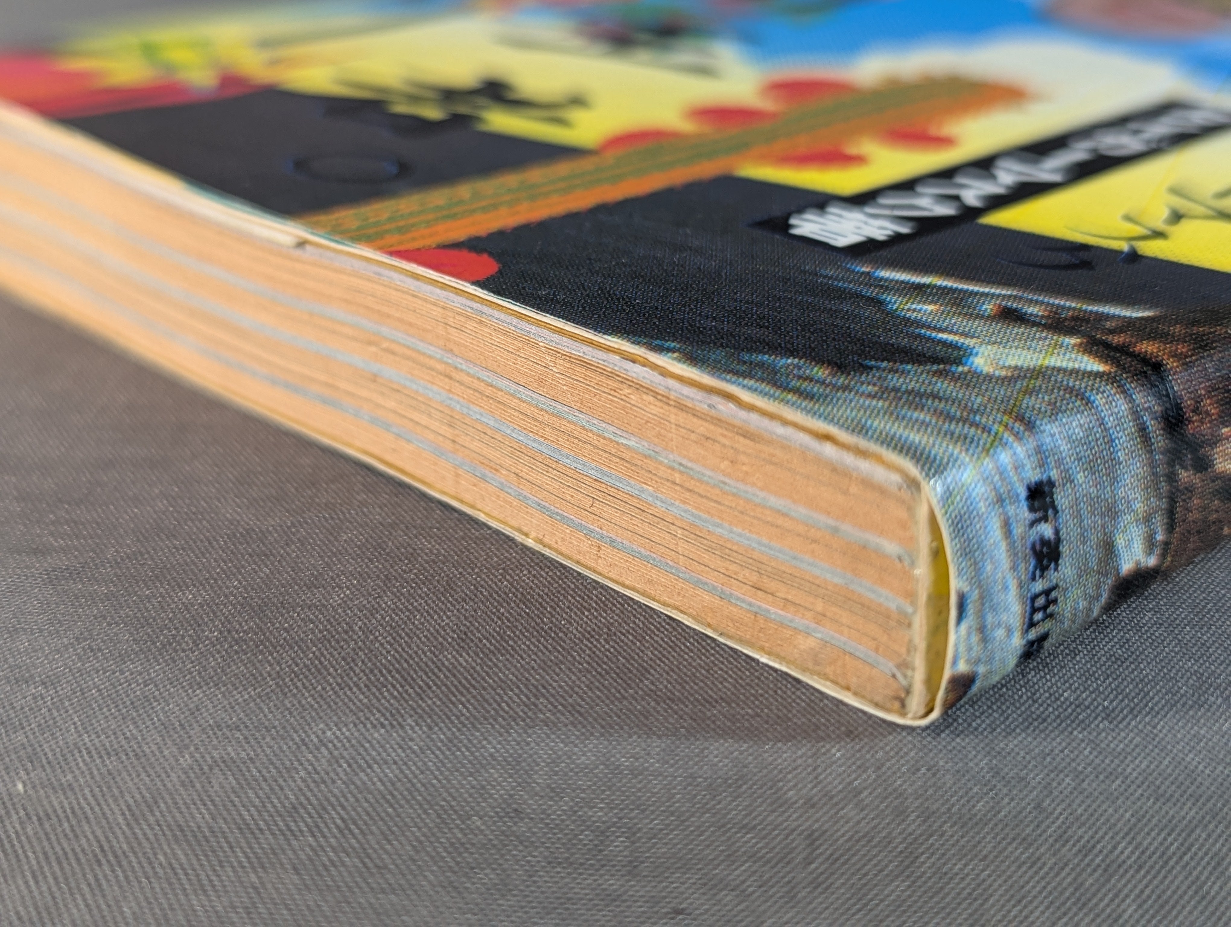 いきなり王者。吠え吠えタイガーマスク – 闘道館