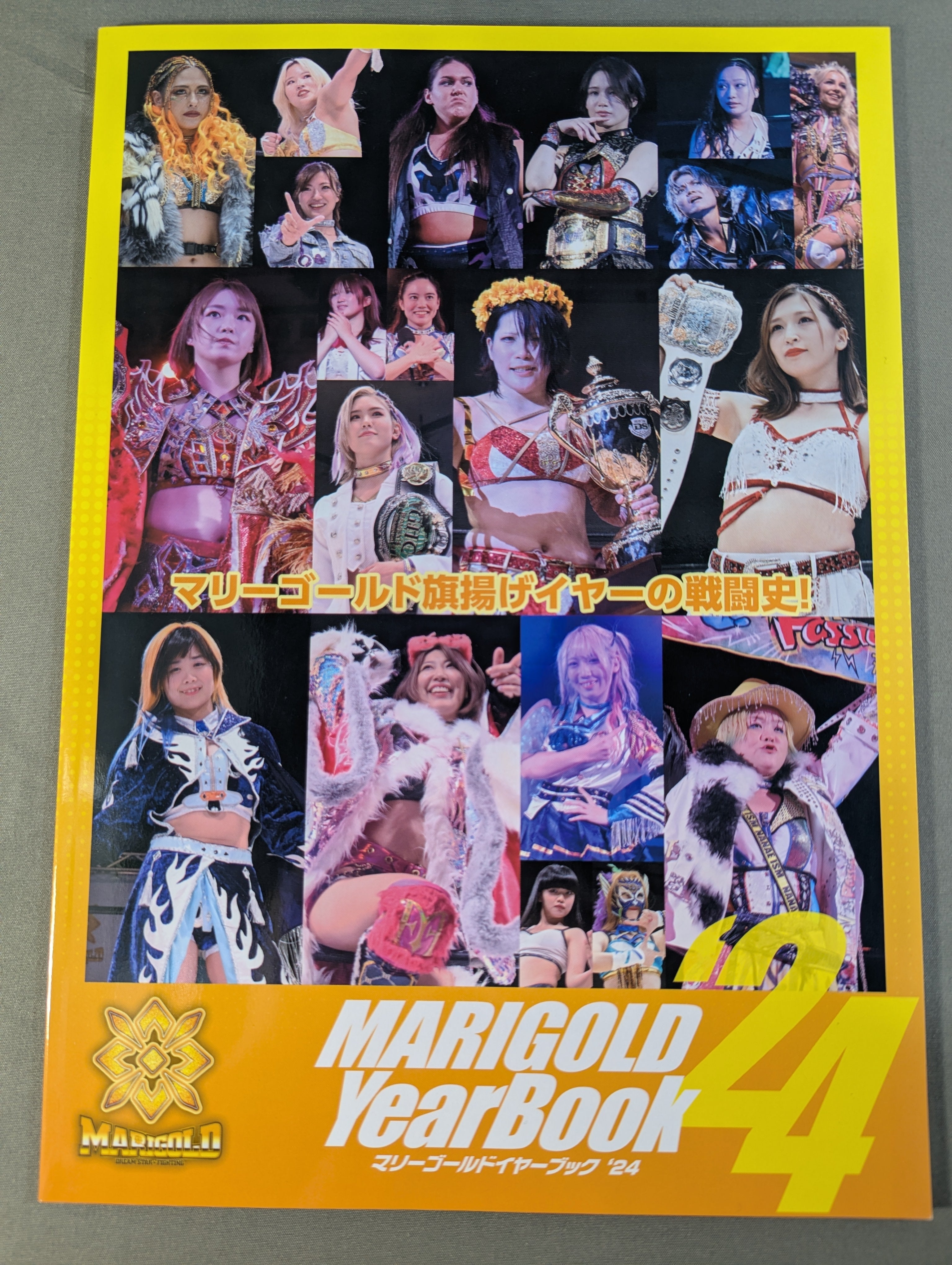マリーゴールドはここから始まった！　旗揚げガイドブック　Vol.1、2 セット マリーゴールド イヤーブック '24 / Marigold YearBook '24 – 闘道館