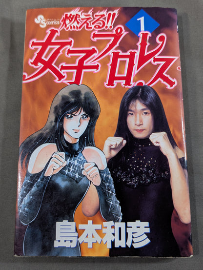 [All 3 volumes set] Burning! !! Women's Pro Wrestling
