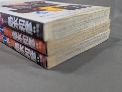 [All 3 volumes set] Burning! !! Women's Pro Wrestling