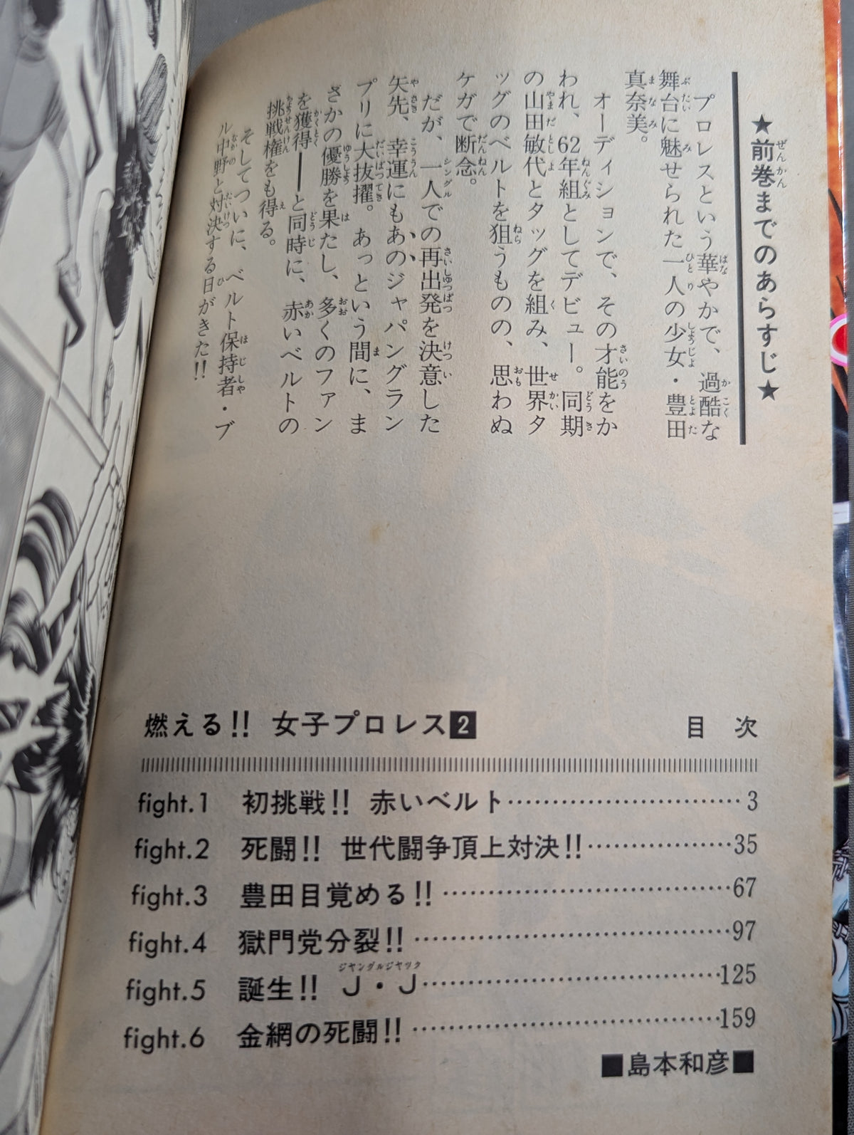 [All 3 volumes set] Burning! !! Women's Pro Wrestling