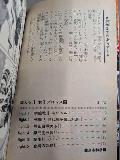[All 3 volumes set] Burning! !! Women's Pro Wrestling