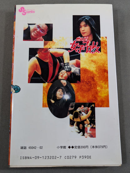 [All 3 volumes set] Burning! !! Women's Pro Wrestling