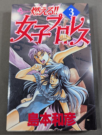 [All 3 volumes set] Burning! !! Women's Pro Wrestling