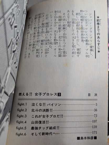 [All 3 volumes set] Burning! !! Women's Pro Wrestling