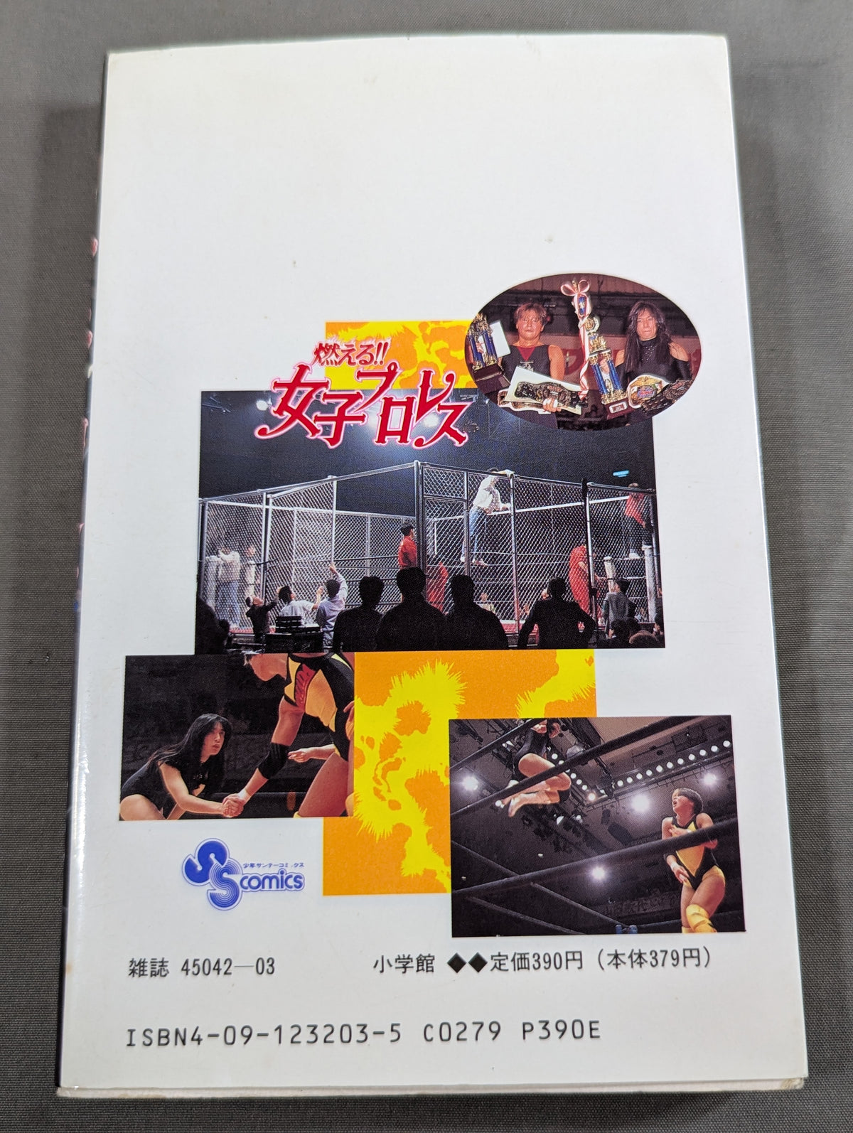 [All 3 volumes set] Burning! !! Women's Pro Wrestling