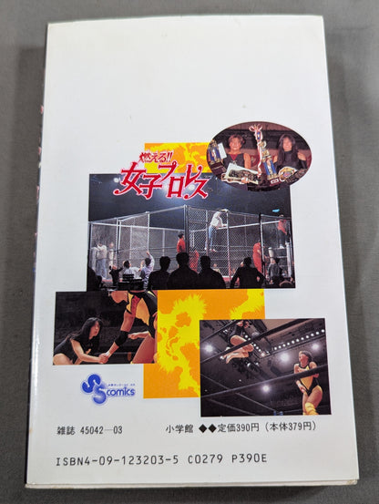 [All 3 volumes set] Burning! !! Women's Pro Wrestling