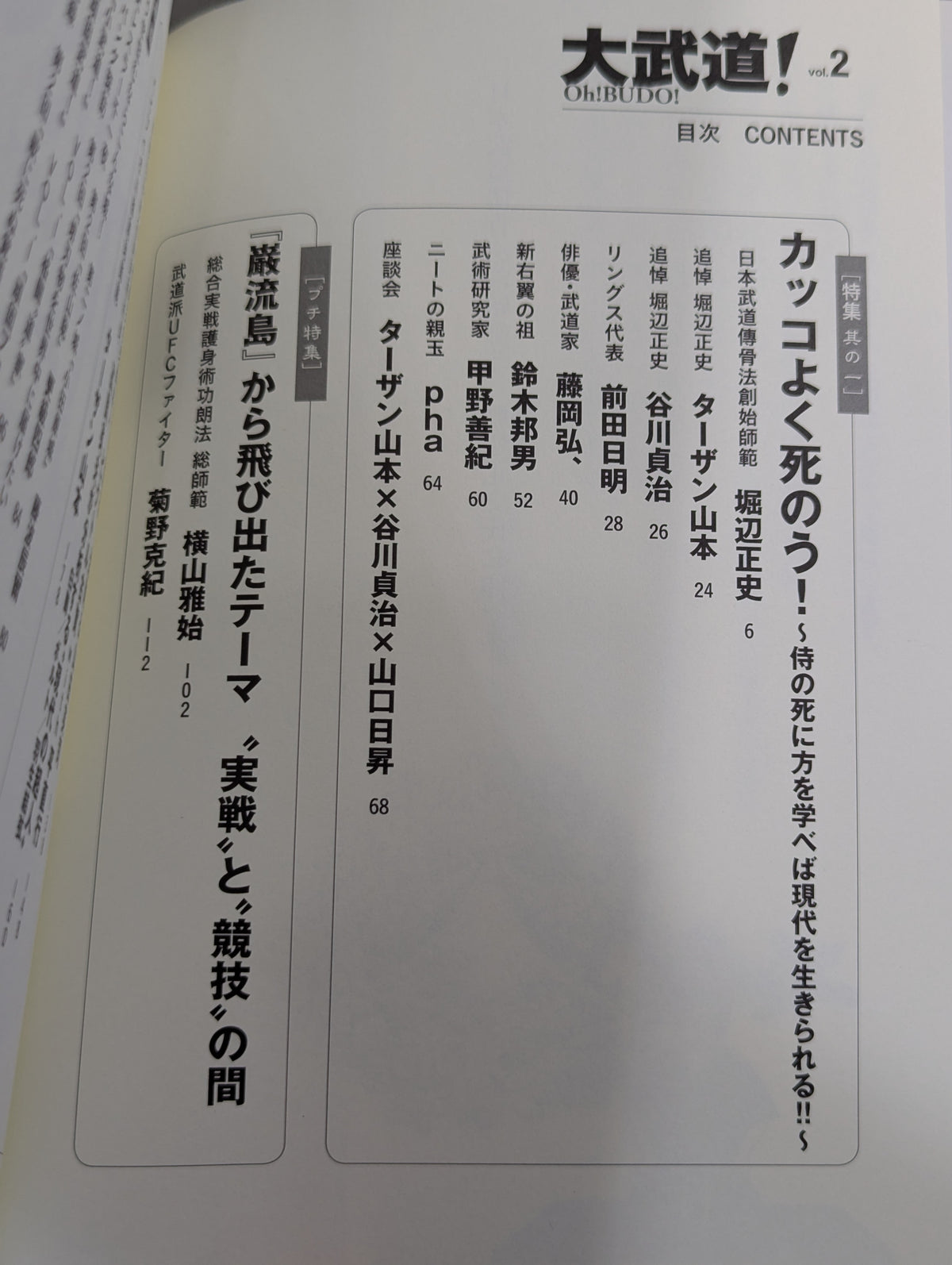 Great Martial Arts! vol.2