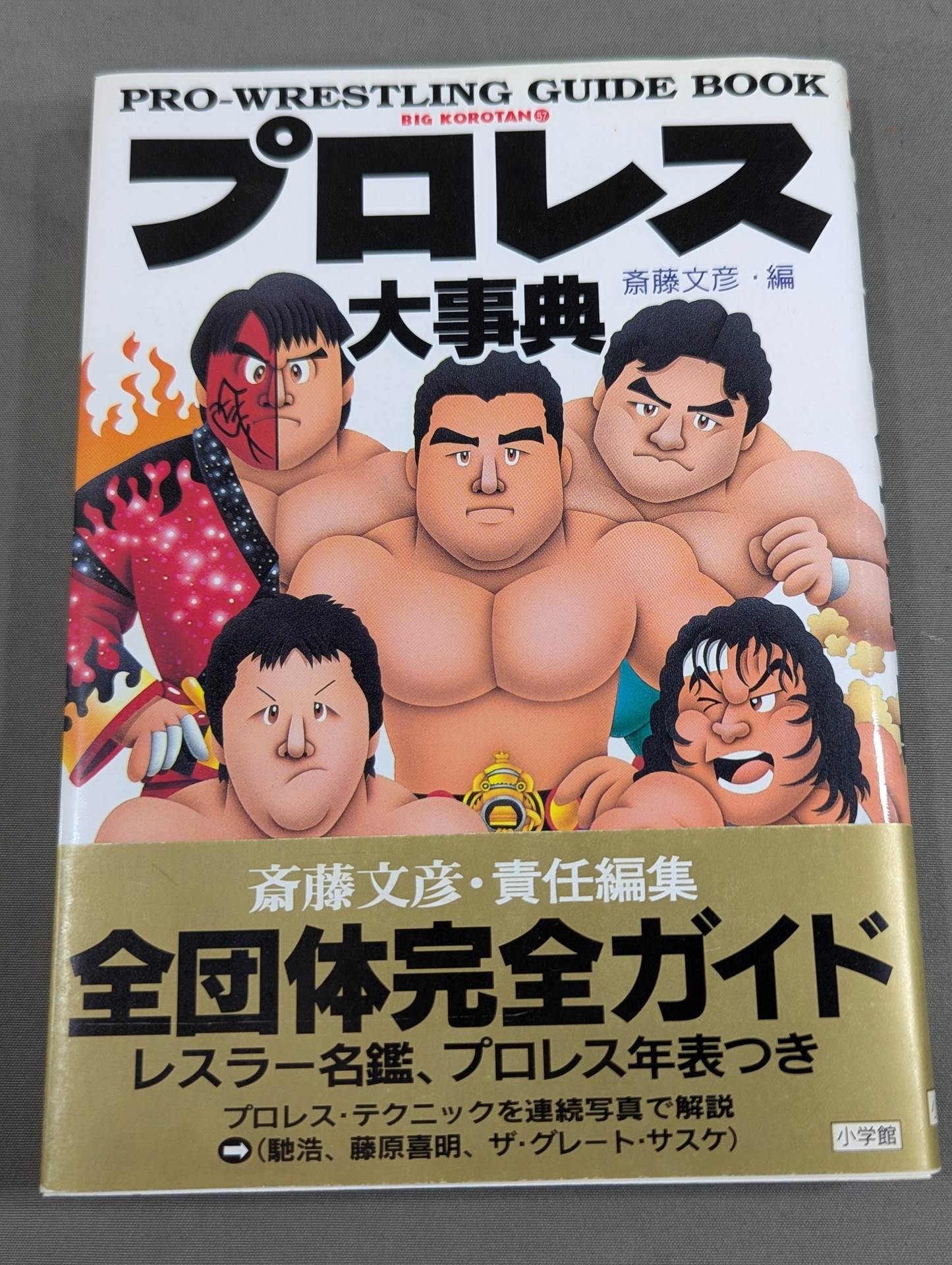 Pro Wrestling  Encyclopedia