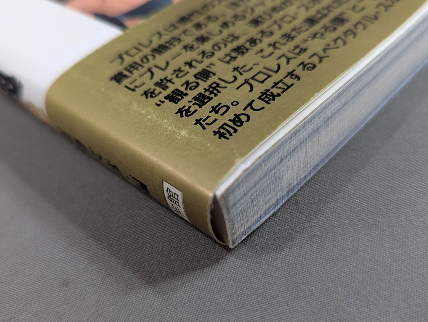 Pro Wrestling  Encyclopedia