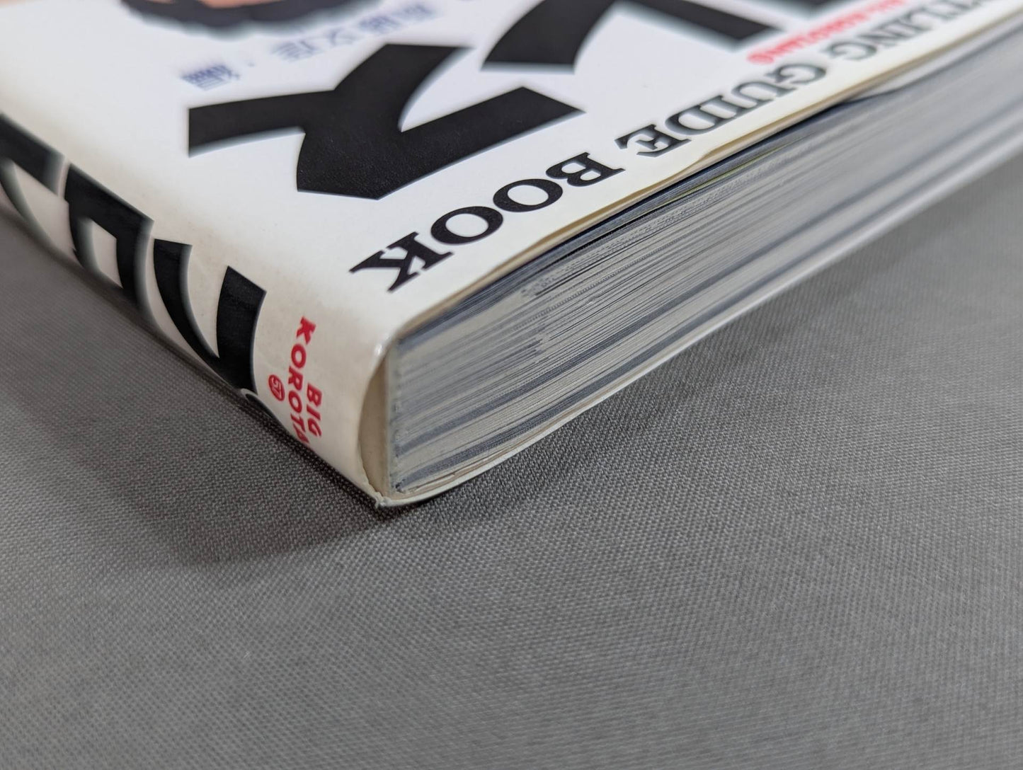 Pro Wrestling  Encyclopedia