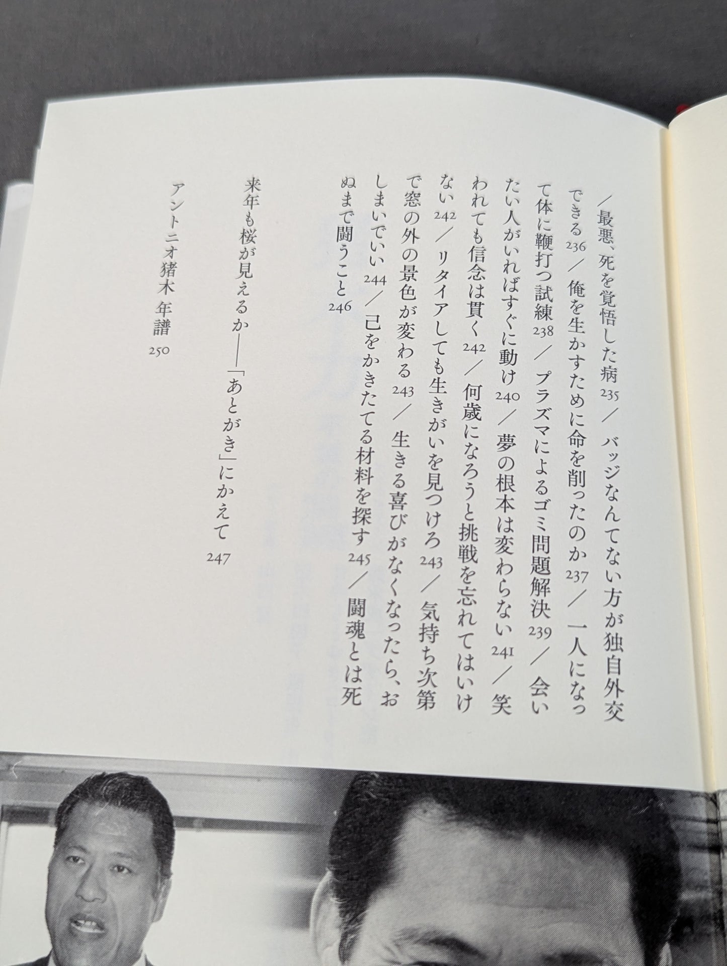 Inoki  Power Immortal Fighting Spirit