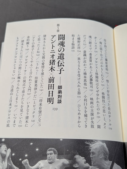 Inoki  Power Immortal Fighting Spirit