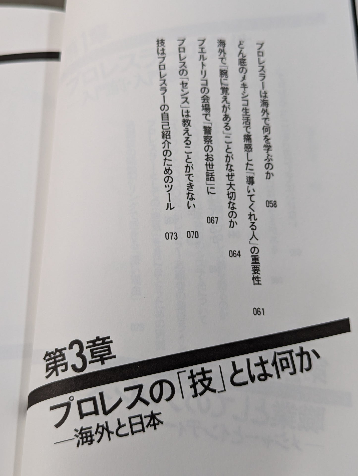 プロレスラーは観客に何を見せているのか