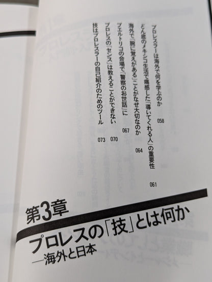 プロレスラーは観客に何を見せているのか