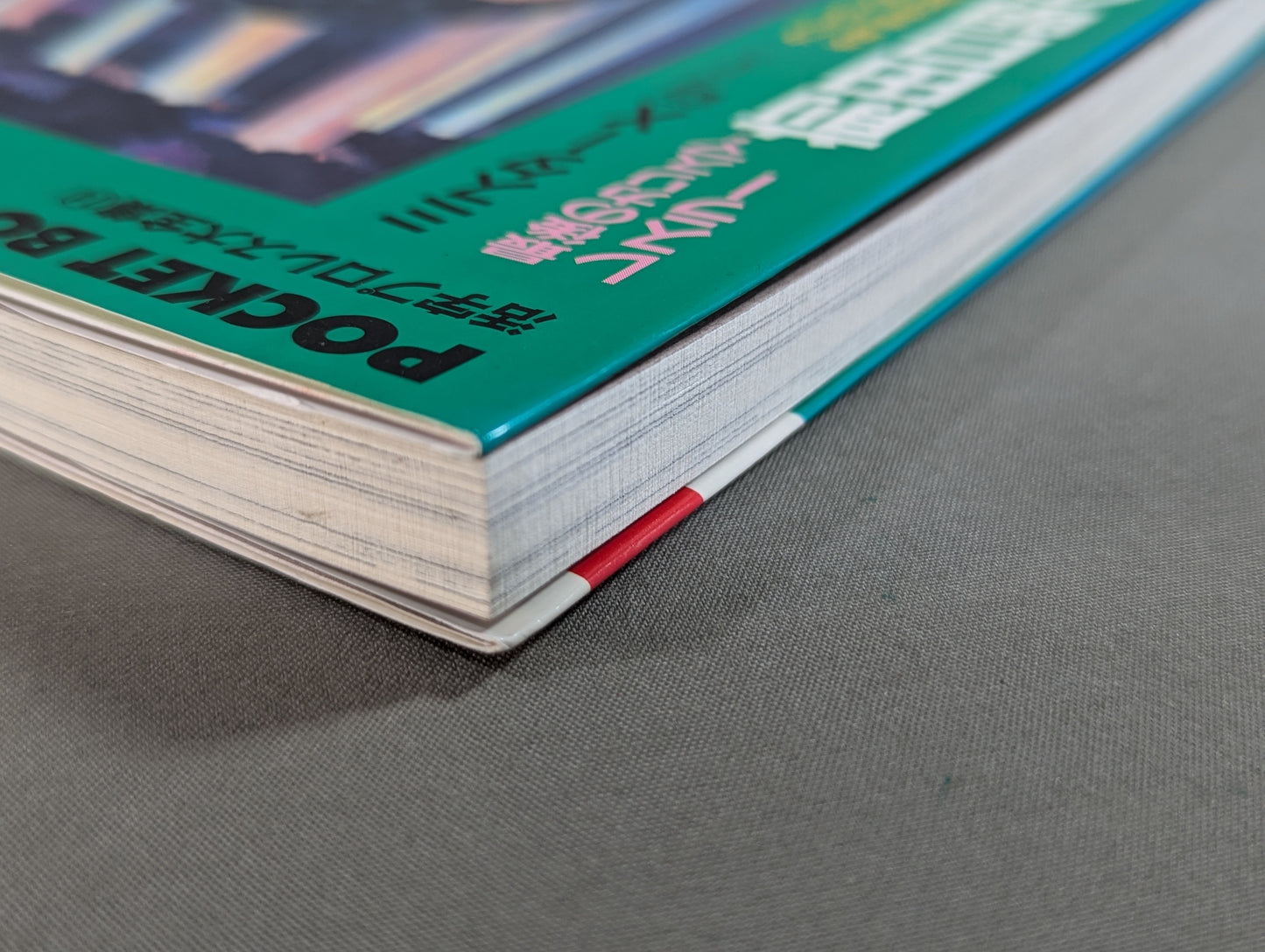 ポケットブック90 最後のカリスマ・レスラー 前田日明の真実