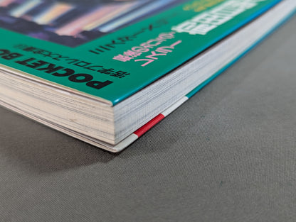 ポケットブック90 最後のカリスマ・レスラー 前田日明の真実