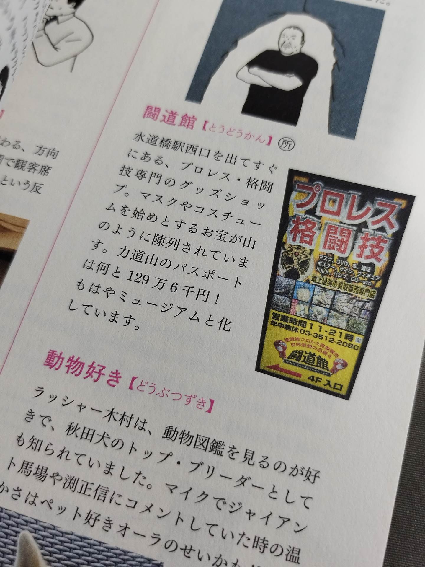 プロレス語辞典 プロレスにまつわる言葉をイラストと豆知識で元気に読み解く