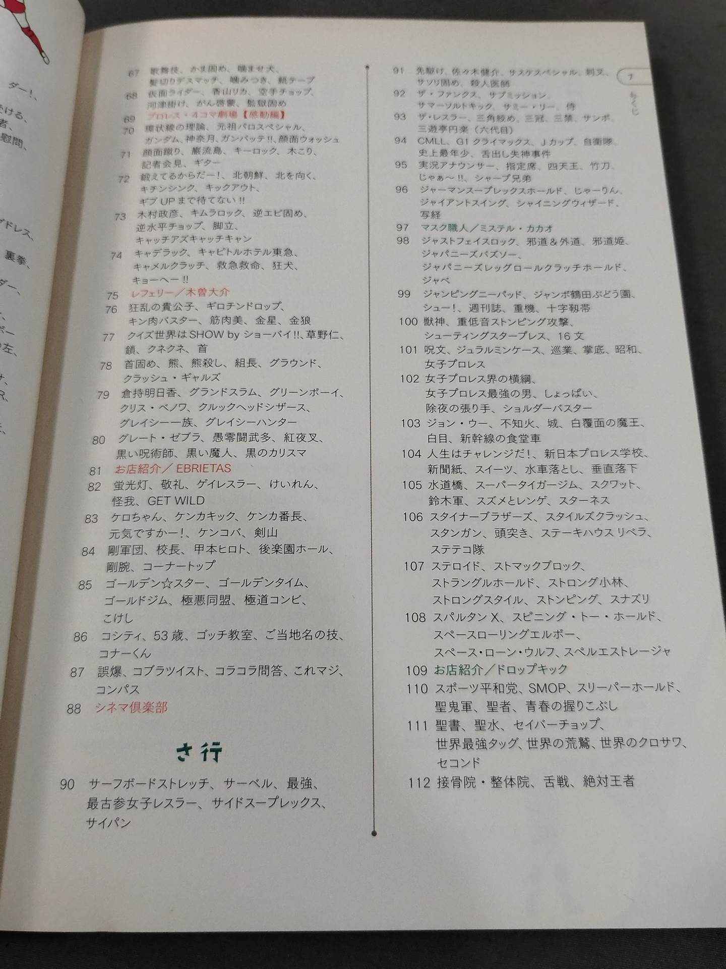 プロレス語辞典 プロレスにまつわる言葉をイラストと豆知識で元気に読み解く