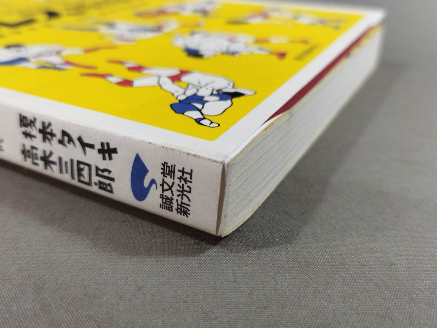 プロレス語辞典 プロレスにまつわる言葉をイラストと豆知識で元気に読み解く