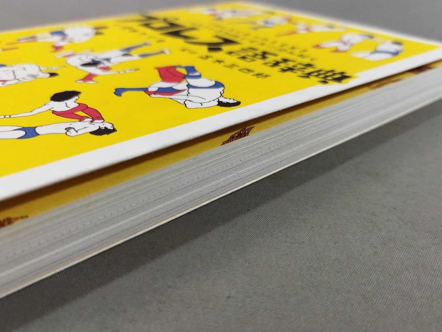 プロレス語辞典 プロレスにまつわる言葉をイラストと豆知識で元気に読み解く
