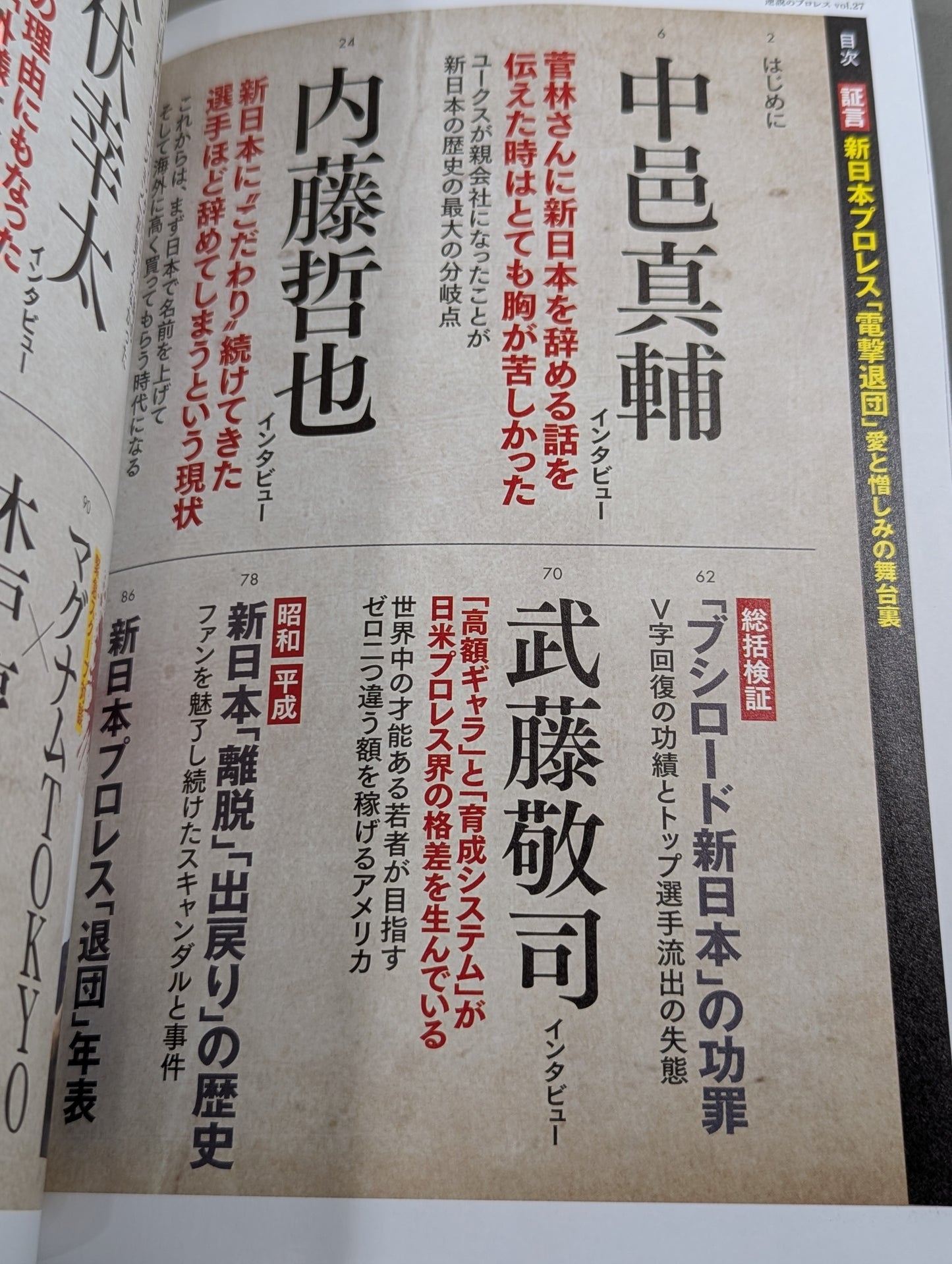 Series: Paradoxical Pro Wrestling Vol.27 Testimony New Japan Pro Wrestling "Shocking Resignation": Behind the Scenes of Love and Hate