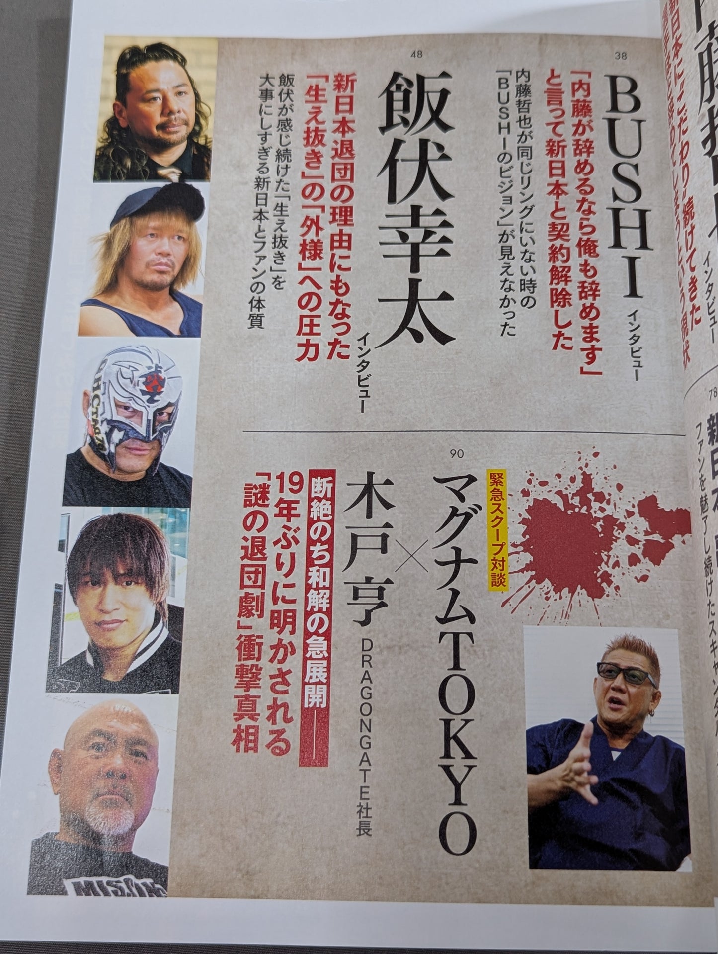 Series: Paradoxical Pro Wrestling Vol.27 Testimony New Japan Pro Wrestling "Shocking Resignation": Behind the Scenes of Love and Hate