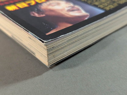 97 Pro Wrestling  Yearbook New Japan  Pro, All-Japan Pro 25th Anniversary War