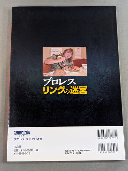 別冊宝島2341 プロレス リングの迷宮 新日本のノア植民地支配と森嶋引退の真相