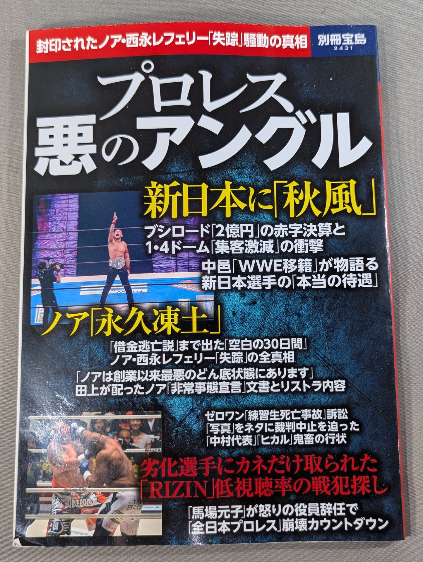 Separate volume Treasure Island 2431 Pro Wrestling  Angle of Evil The truth about the disappearance of referee Noah Nishinaga who was sealed