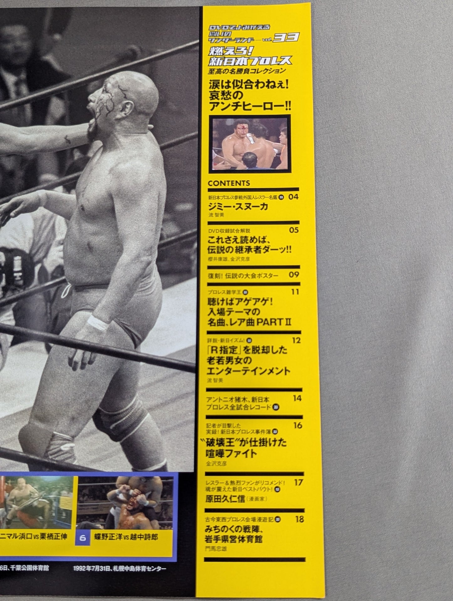 燃えろ!新日本プロレス vol.33